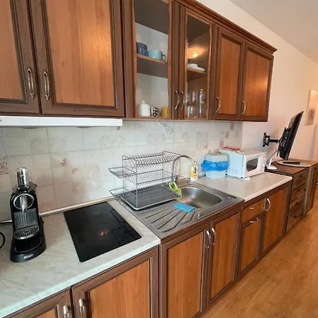 Silver Terace With Sea View For 4 Person Appartamento *