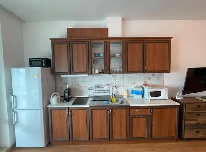 Silver Terace With Sea View For 4 Person Apartment Byala (Varna)